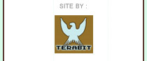 terabit.ca - website development and hosting